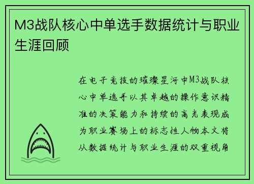M3战队核心中单选手数据统计与职业生涯回顾