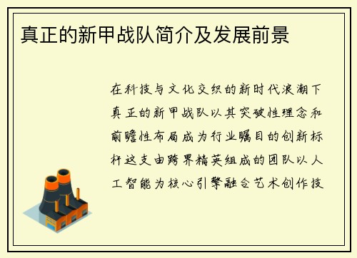 真正的新甲战队简介及发展前景